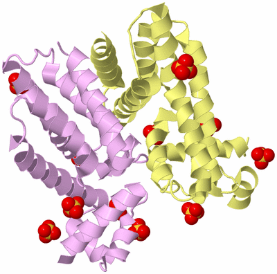 Image Biological Unit 2