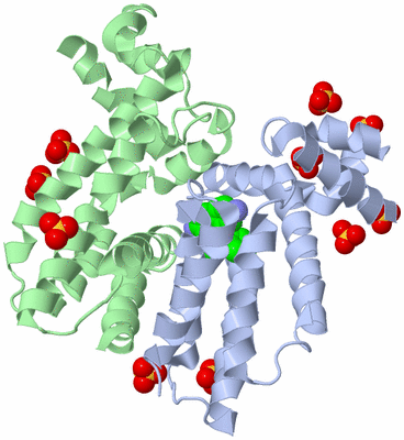 Image Biological Unit 1