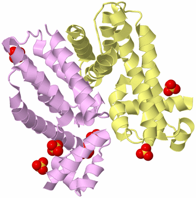 Image Biological Unit 2