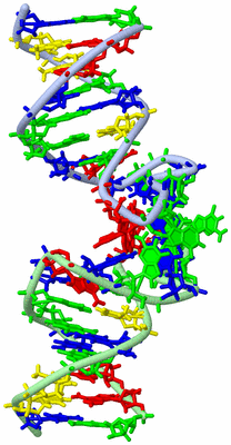 Image NMR Structure - model 1