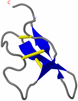 Image NMR Structure - model 1