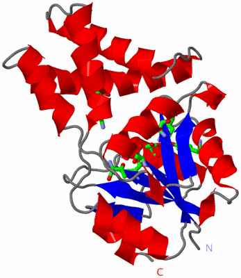 Image Asym. Unit - sites