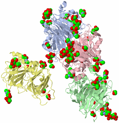 Image Asym./Biol. Unit