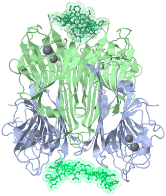 Image Biological Unit 1