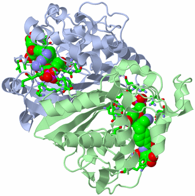 Image Biol. Unit 1 - sites