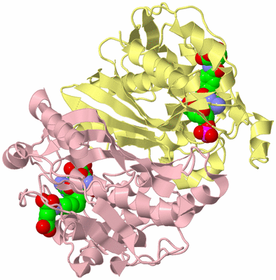 Image Biological Unit 2