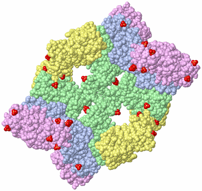 Image Biological Unit 1