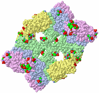 Image Biol. Unit 1 - sites