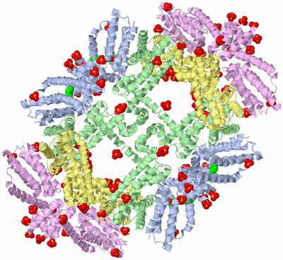 Image Biological Unit 2