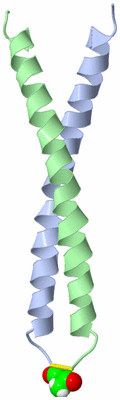 Image NMR Structure - model 1