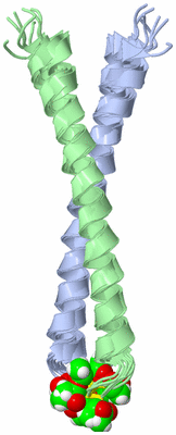 Image NMR Structure - all models