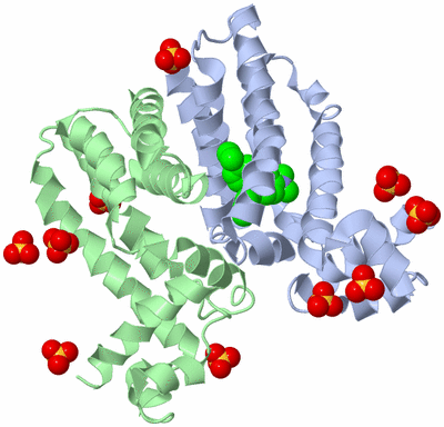 Image Biological Unit 1