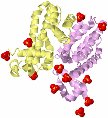 Image Biological Unit 2