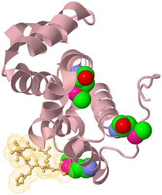 Image Biological Unit 3