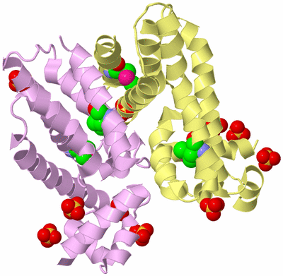 Image Biological Unit 2