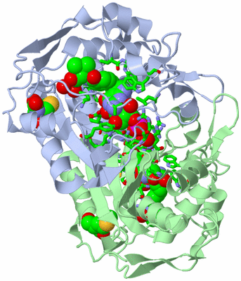 Image Asym./Biol. Unit - sites