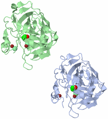 Image Asymmetric Unit