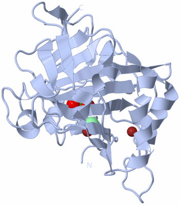 Image Biological Unit 1