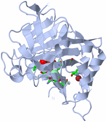 Image Biol. Unit 1 - sites