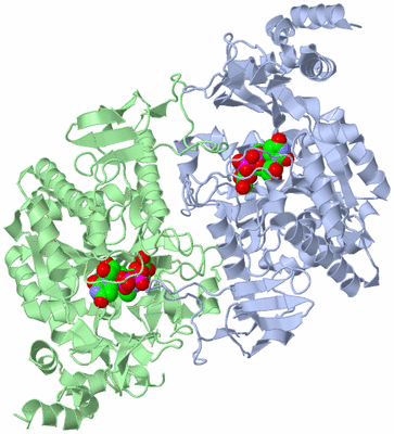 Image Asym./Biol. Unit