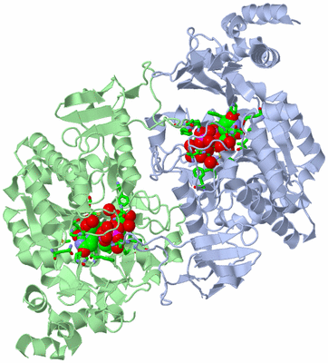 Image Asym./Biol. Unit - sites