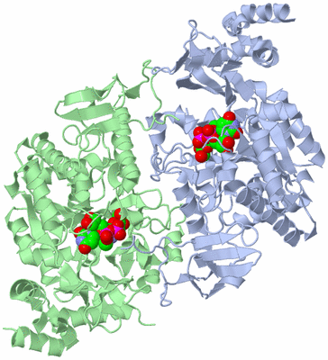 Image Asym./Biol. Unit