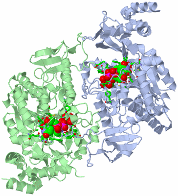 Image Asym./Biol. Unit - sites