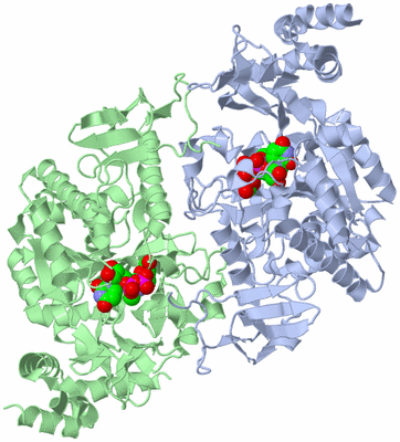 Image Asym./Biol. Unit