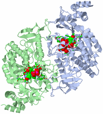 Image Asym./Biol. Unit - sites