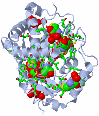 Image Biol. Unit 1 - sites