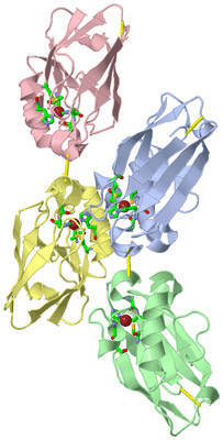 Image Biol. Unit 1 - sites