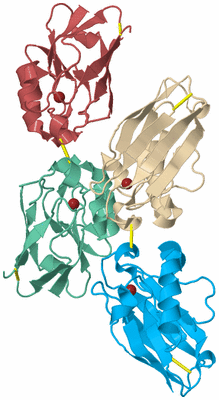 Image Biological Unit 3