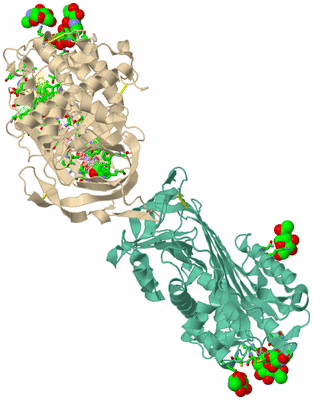 Image Asym./Biol. Unit - sites