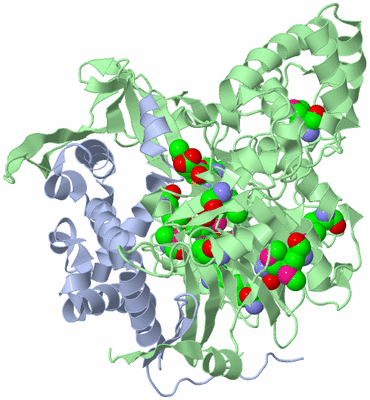 Image Asym./Biol. Unit