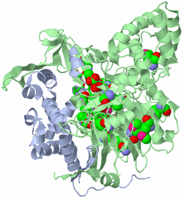 Image Asym./Biol. Unit - sites