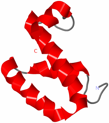 Image NMR Structure - model 1