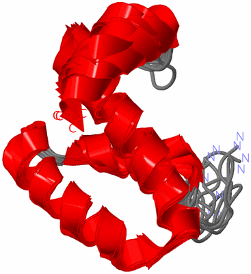 Image NMR Structure - all models