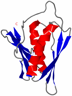 Image NMR Structure - model 1