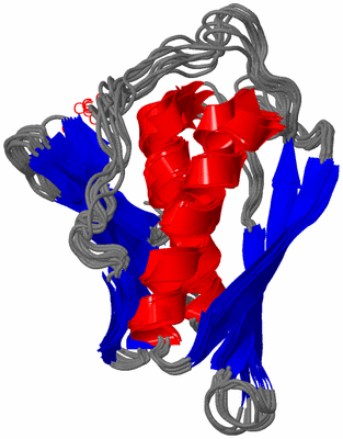 Image NMR Structure - all models