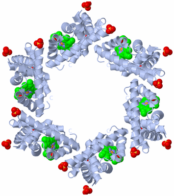 Image Biological Unit 3