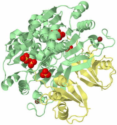 Image Biological Unit 1