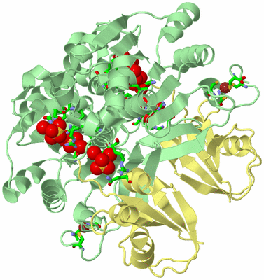 Image Biol. Unit 1 - sites