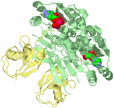 Image Biological Unit 1