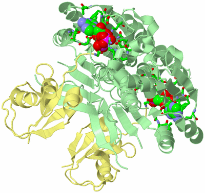 Image Biol. Unit 1 - sites