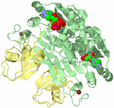 Image Biological Unit 1