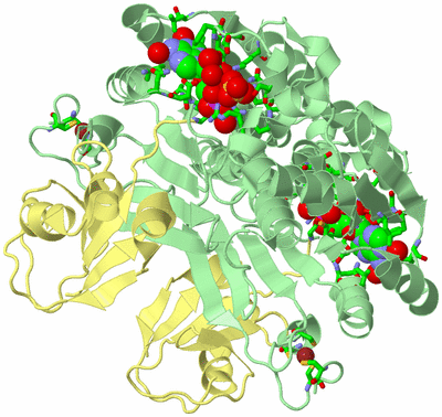 Image Biol. Unit 1 - sites