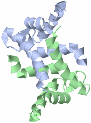 Image NMR Structure - model 1