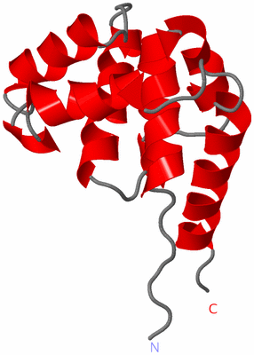 Image NMR Structure - model 1