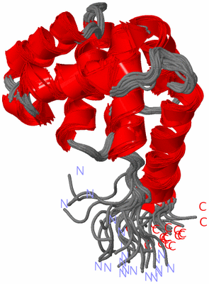 Image NMR Structure - all models