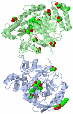 Image Asymmetric Unit